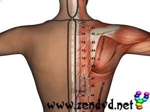 Blase  Zen Shiatsu Meridian Experience Reloaded