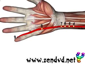 Herz  Zen Shiatsu Meridian Experience Reloaded