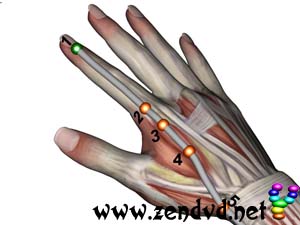  Dickdarm Zen Shiatsu Meridian Experience Reloaded