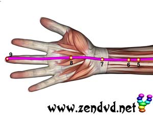 Pericardium  Zen Shiatsu Meridian Experience Reloaded Pericardium  Zen Shiatsu Meridian Experience Reloaded